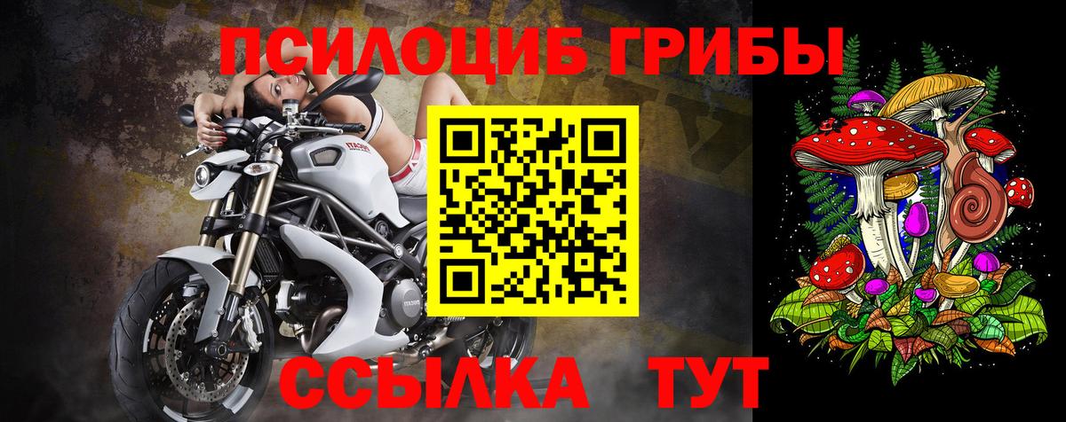 Псилоцибиновые грибы мухоморы  Вход с VPN  Галлюциногенные грибы MAGIC MUSHROOMS  Зеленодольск 