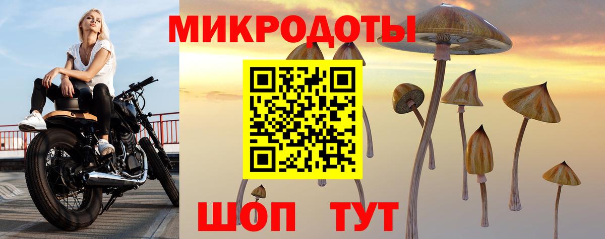 Псилоцибиновые грибы Magic Shrooms Зеленодольск